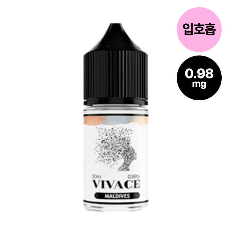 비바체 몰디브